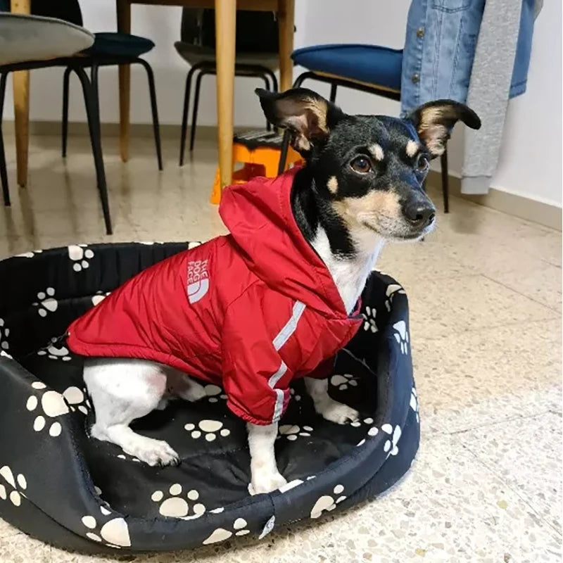 Waterproof Reflective Pet Coat for Small & Medium Dogs